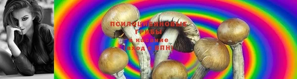 MDMA Premium VHQ Богородск