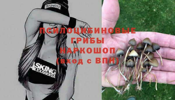 ПСИЛОЦИБИНОВЫЕ ГРИБЫ Ханты-Мансийск