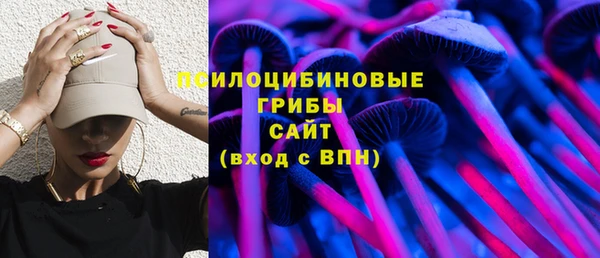 хмурый Медногорск